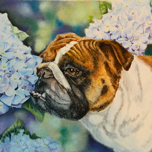 Custom Watercolor Pet Portraits
