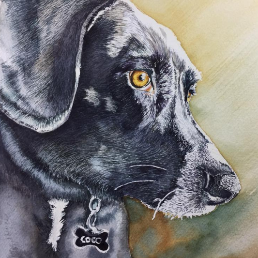 Custom Watercolor Pet Portraits