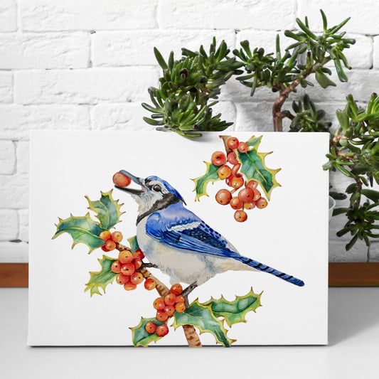 Christmas Jay Art Print