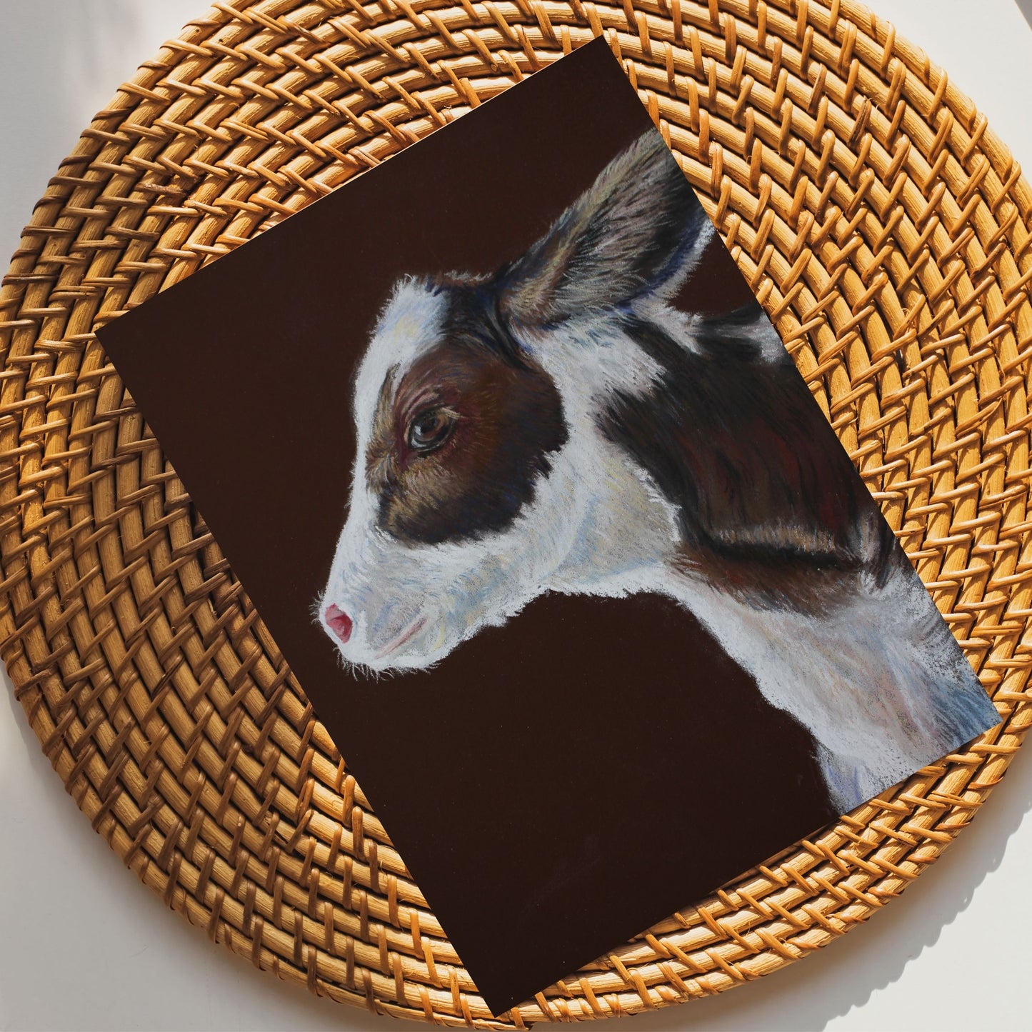 Spring Morning Calf