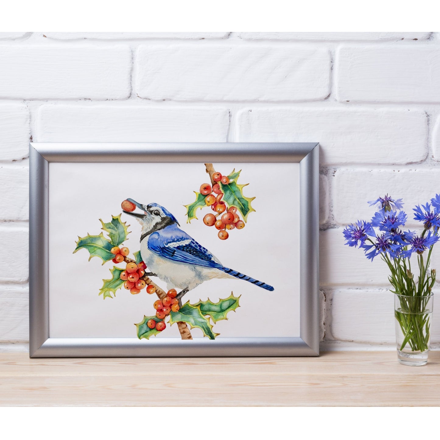 Christmas Jay Art Print