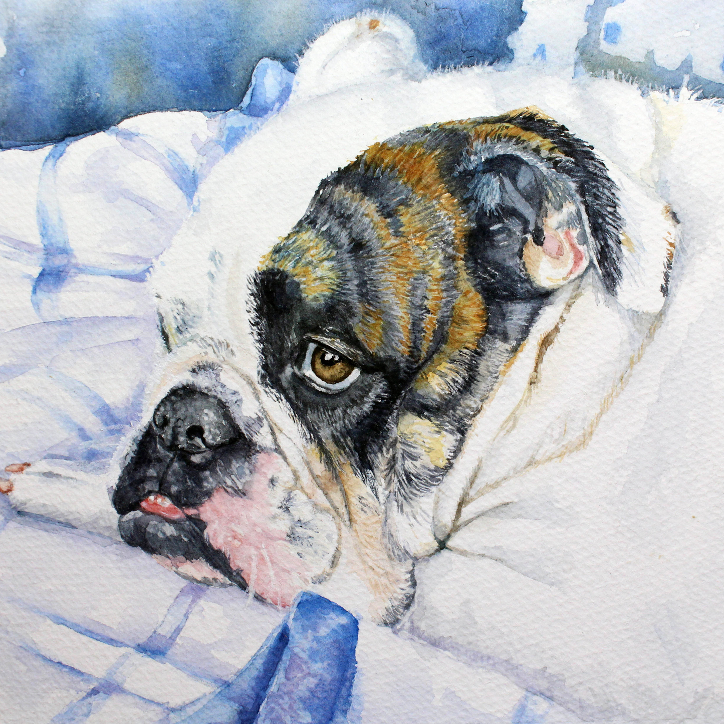 Custom Watercolor Pet Portraits