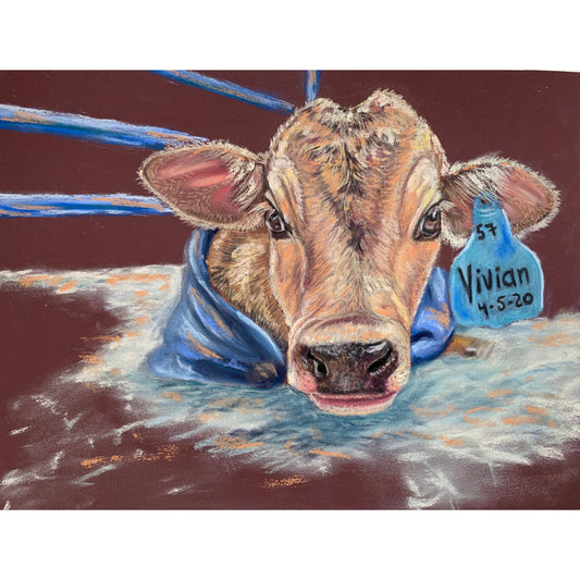 A Cow Named Vivian