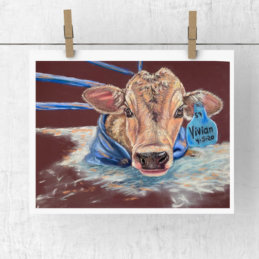 A Cow Named Vivian