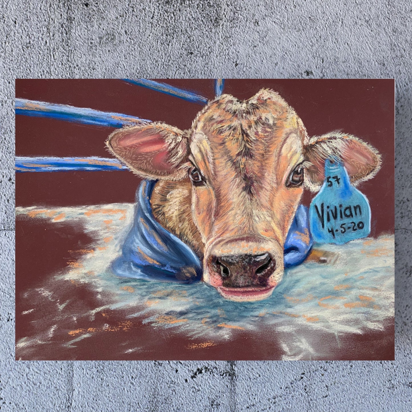 A Cow Named Vivian