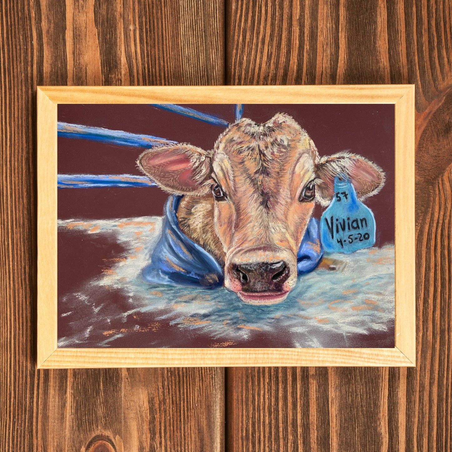 A Cow Named Vivian