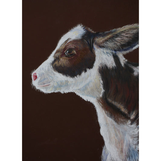 Spring Morning Calf