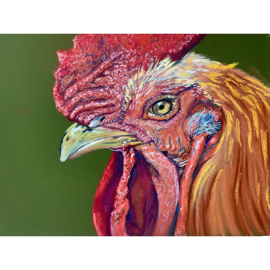 Rue The Rooster