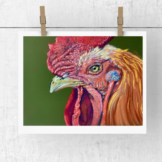 Rue The Rooster